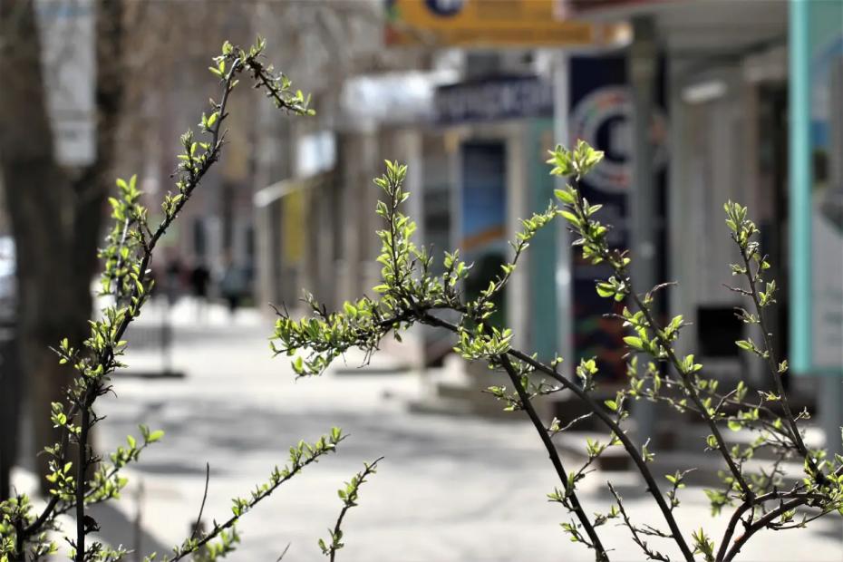 Рекордная жара на Пасху и снова холод: синоптики обновили прогноз