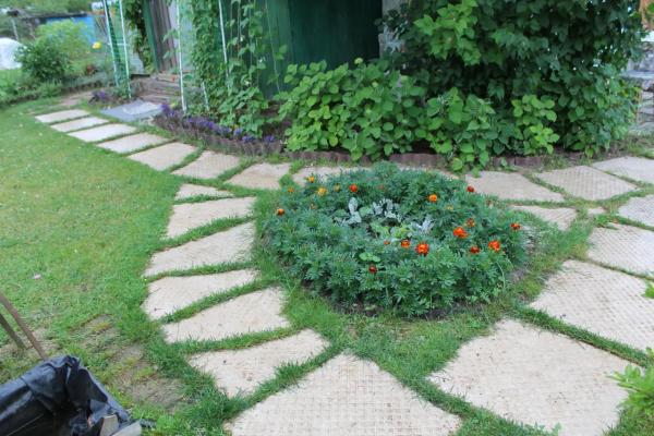 Застелил дорожки старым ковром и пожалел: слизни, гниль и траншеи - сосед лишь посмеялся надо мной