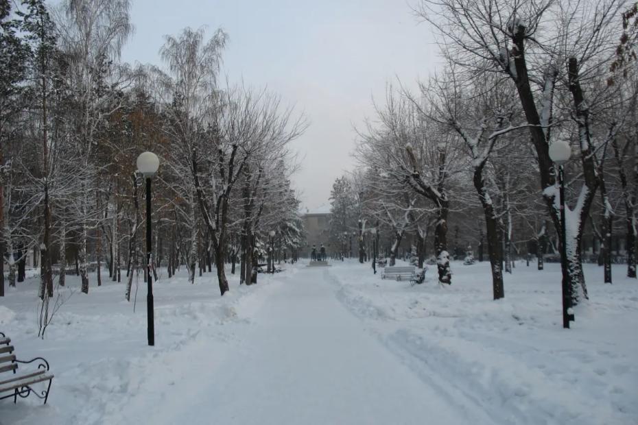 Город СССР, где по приказу Сталина вместо тополей высадили 20 миллионов яблонь - где находится