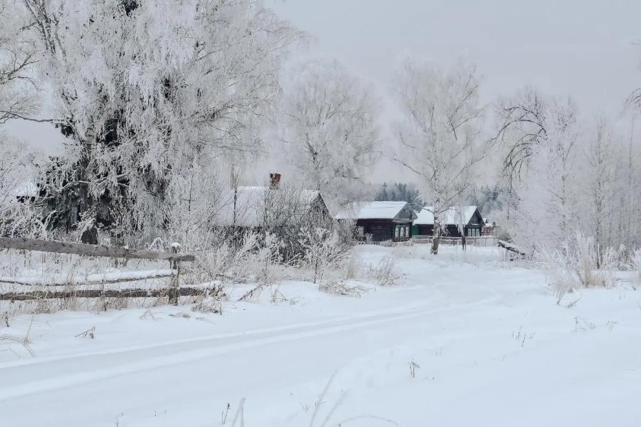 Найдена необычная деревня в глубинке России: как здесь живут люди - даже школы и магазина нет