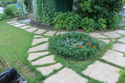 Застелил дорожки старым ковром и пожалел: слизни, гниль и траншеи - сосед лишь посмеялся надо мной