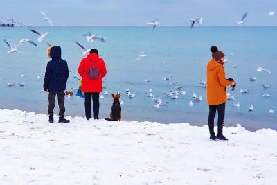 Переехали с семьей из Новосибирска в Анапу: почему минусов больше, чем плюсов