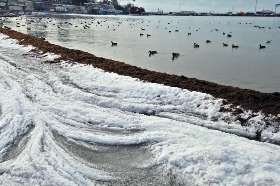 Вонючее море и сплошные пробки: российский турист поделился честным отзывом о популярном курорте