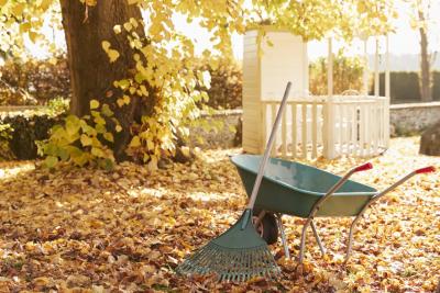 Бабье лето возвращается в третий раз: синоптики сделали новый прогноз на октябрь
