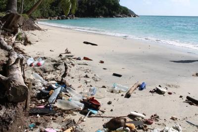 Грязное море, бродячие собаки и мусор: туристы из России поделились отзывом о популярном курорте