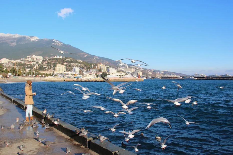 Почему я уезжаю из Крыма: климат подошёл, работу нашла быстро, но не смогла привыкнуть к главному