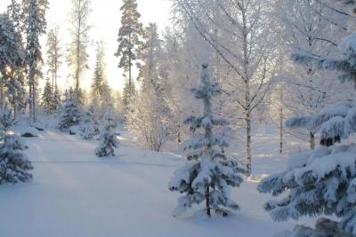 Такой жестокой зимы еще не было: какие климатические аномалии ожидаются в России в 2025-2026 годах, где будет холоднее всего