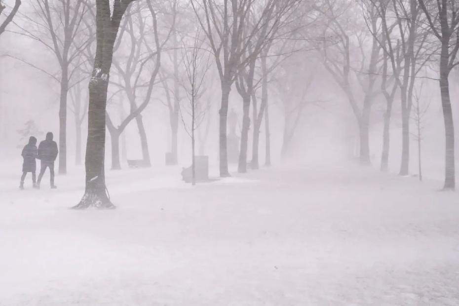 Январские морозы обрушатся на Россию уже в ноябре: Вильфанд предупредил россиян