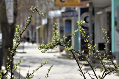 Рекордная жара на Пасху и снова холод: синоптики обновили прогноз