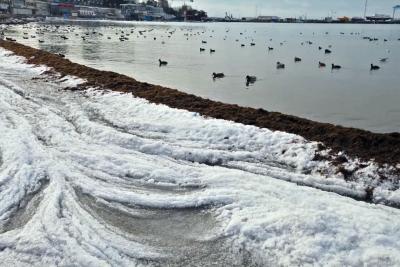 Вонючее море и сплошные пробки: российский турист поделился честным отзывом о популярном курорте