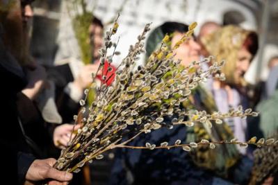 Что делать, а что под запретом - советы на 2026 год: вербная неделя