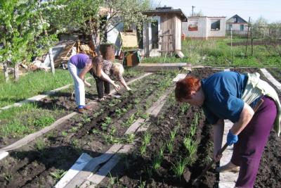 Можно ли работать в огороде в большие церковные праздники: точный ответ священника