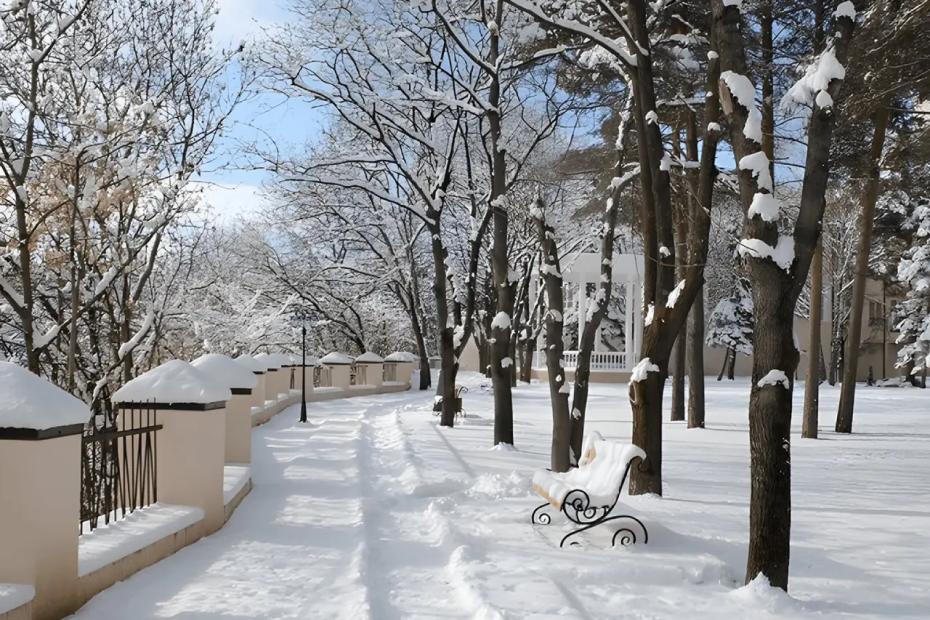 Съездили в Кисловодский санаторий по цене элитного турецкого отеля: вот что мы получили за эти деньги