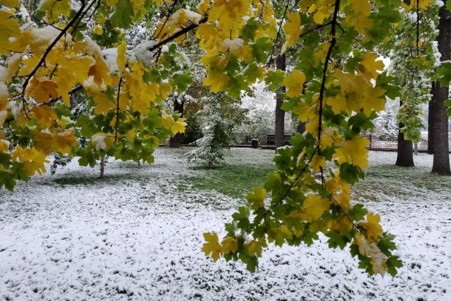 «Первый снег выпадет уже в ночь на завтра»: свежий прогноз погоды Романа Вильфанда