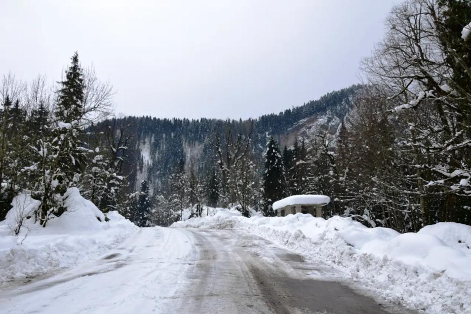 Как долгожданный отпуск обернулся суровым испытанием для российских туристов: абхазия без прикрас