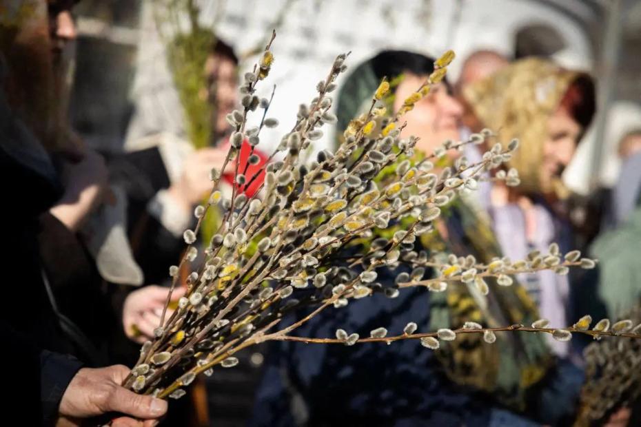 Что делать, а что под запретом - советы на 2026 год: вербная неделя