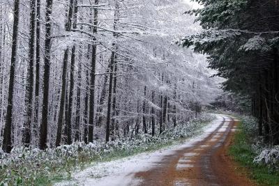 Накроют аномальные морозы: такой зимы не было больше 20 лет - синоптики дали прогноз на декабрь 2025 года