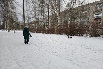 По 10 000 рублей отдельно от пенсии в январе. В России обрадовали всех пенсионеров