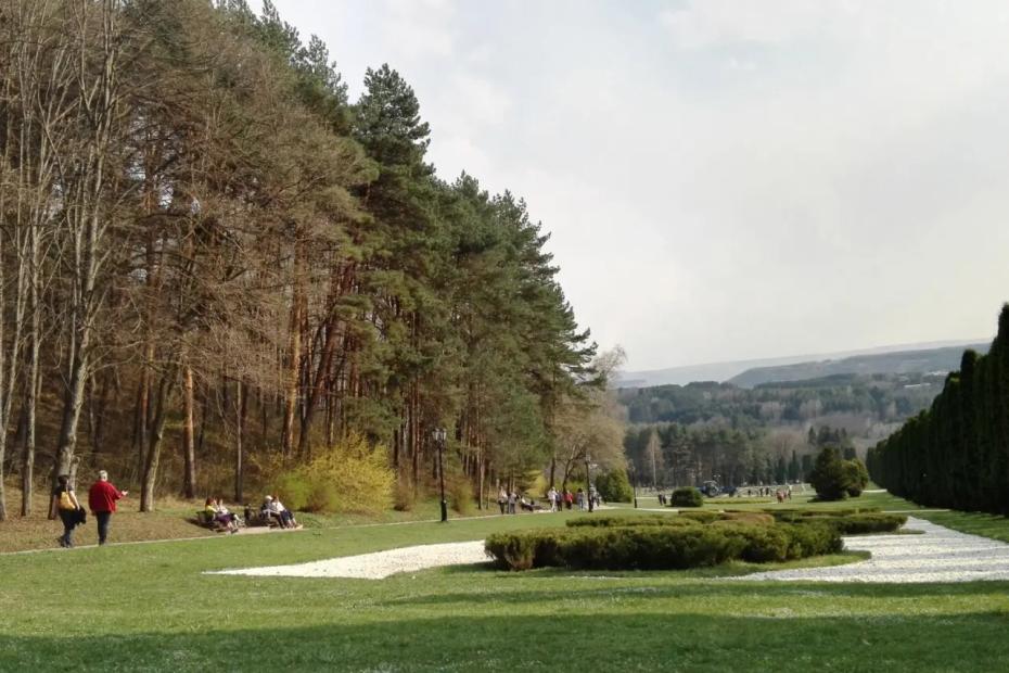 Сочи отдыхает: я объездила все курорты юга, но возвращаюсь только сюда - мой личный топ-1 в 2026 году