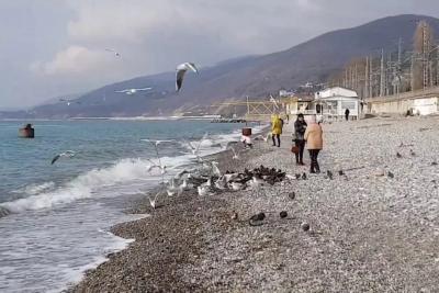 Переехал из Воркуты в Сочи - уже через месяц понял, что совершил страшную ошибку в жизни. И вот почему