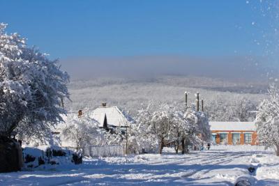 В первый же день понял - чем нужно заниматься на юге: переехал с Урала в кубанскую станицу и сразу познакомился с соседями