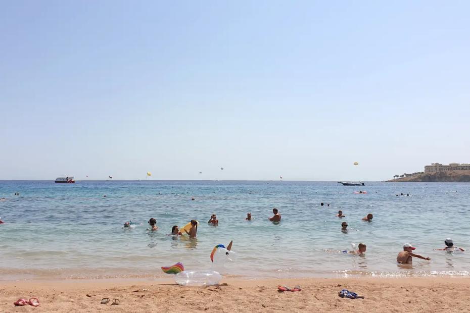 Гневный отзыв туристки: &laquo;В Египет больше никогда не вернусь, выбросили на ветер 150 тысяч&raquo;