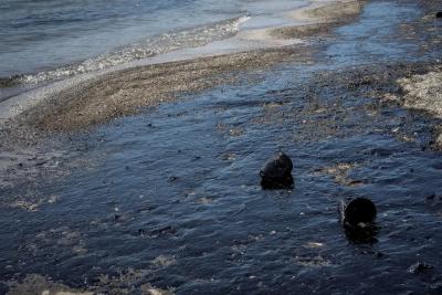 Купались в море, а вышли в мазуте: туристы в шоке от пляжей Новороссийска