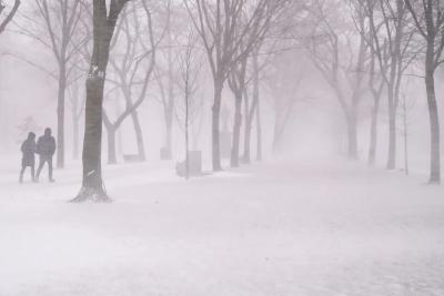 Такого не было за 146 лет наблюдений: Вильфанд объяснил, почему ноябрь стал рекордным