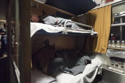 Еду в поезде из Крыма в Питер. Не поделили место для багажа. Странное поведение соседки сверху