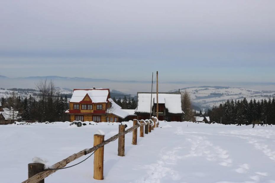 Переехали на пенсии из России в польскую глубинку. Не курорт, не город - честно рассказываем, как там живётся