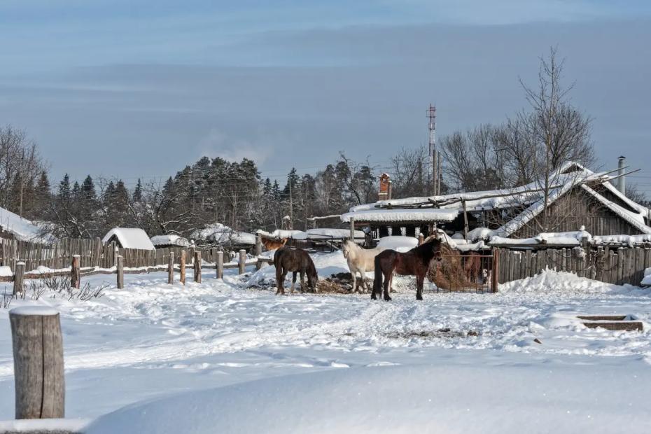 Пенсия на краю земли: как и на что живут старики в северных деревнях России на самом деле?
