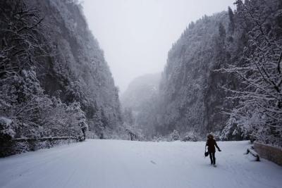 &laquo;Мы еле ноги унесли&raquo; - реальная история россиян, поехавших отдыхать в Абхазию: не поездка, а экстрим