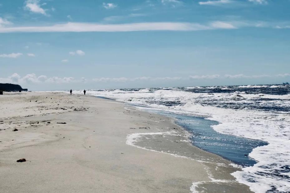 Эмоции от восторга до разочарования - вот какие места нужно обходить мимо: побывала на Куршской Косе под Калининградом