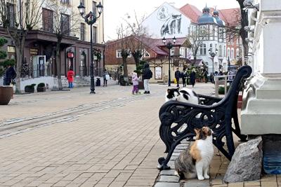 Однажды приехала и влюбилась: этот бюджетный российский город прекрасен в любое время года - идеальное место для туризма
