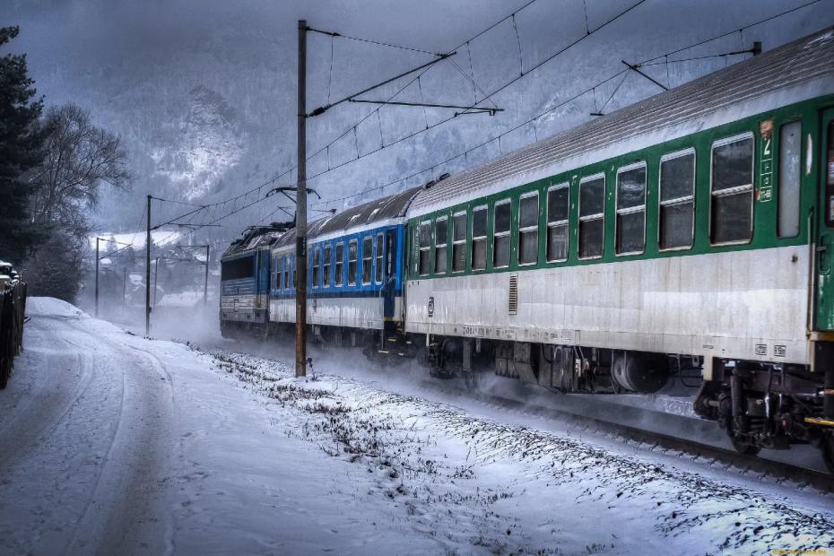 Холодный взгляд сквозь окно вагона: потеря домашнего любимца в поездке