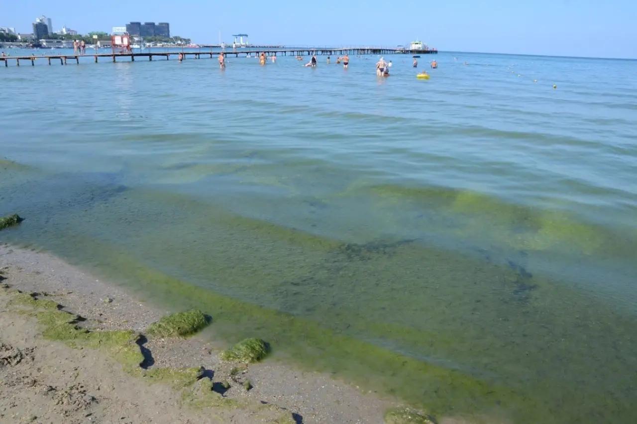 Купаться невозможно - сидим на берегу: Черное море преподнесло неприятный сюрприз отдыхающим