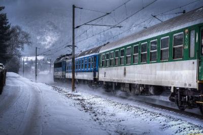 Холодный взгляд сквозь окно вагона: потеря домашнего любимца в поездке