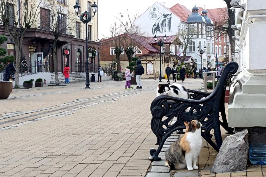 Однажды приехала и влюбилась: этот бюджетный российский город прекрасен в любое время года - идеальное место для туризма