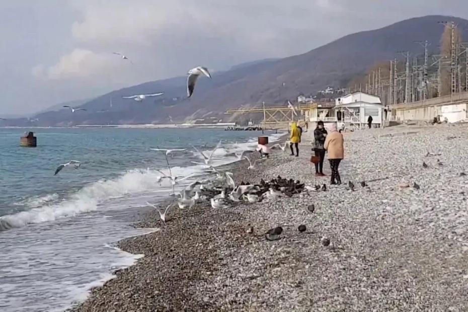 Оставьте Сочи богатеям - ушлые россияне нашли 4 альтернативы: дешевле и атмосфера лучше