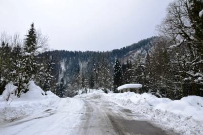 &laquo;Условия как для скота&raquo;: турист из РФ отдохнул в Абхазии и честно описал поездку