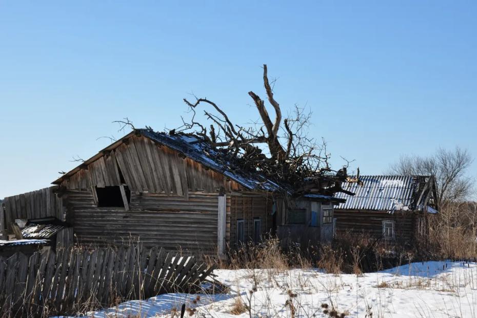 Разобрали даже развалюхи: люди кинулись покупать дома в деревне - но вот в чем они ошибаются