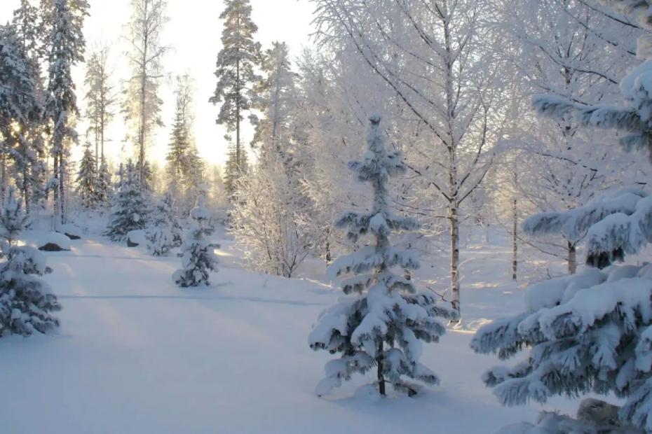 Такой жестокой зимы еще не было: какие климатические аномалии ожидаются в России в 2025-2026 годах, где будет холоднее всего