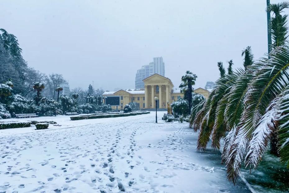 Переехала жить в Сочи, но разочаровалась после того, как прошла эйфория: мои главные разочарования