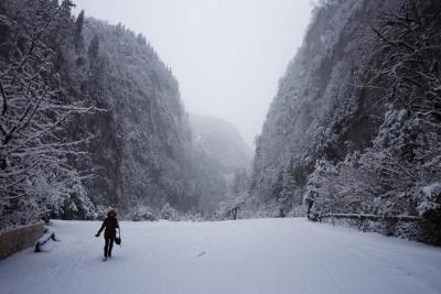 Больше в Абхазию ни ногой: почему страна возомнила себя элитным курортом при низком сервисе - делюсь честным отзывом