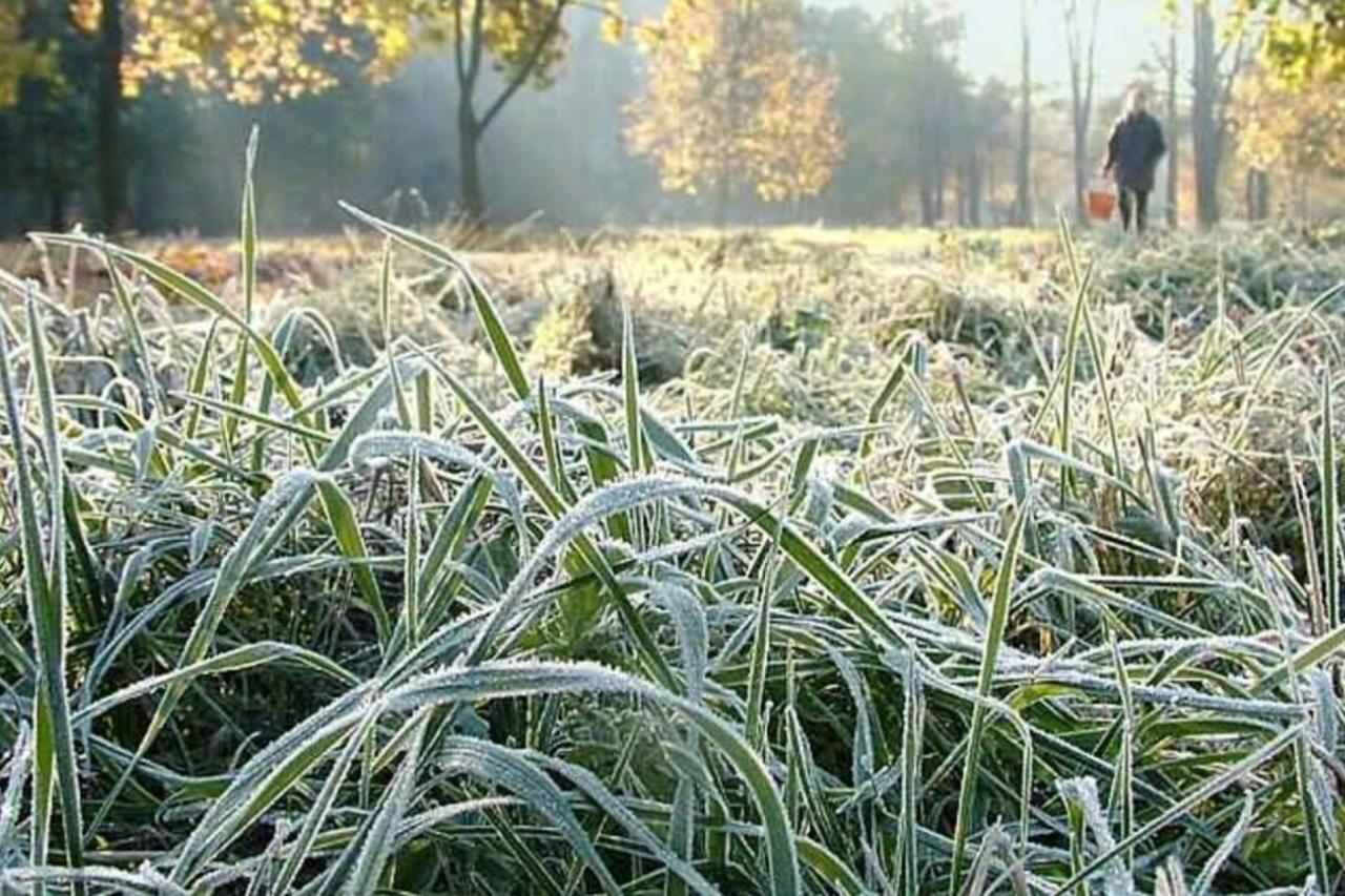 В какое время года бывают заморозки. Заморозки. Заморозки на поверхности почвы. Майские заморозки.