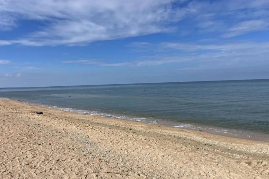 Мутное море с опасными тварями: туристы поделились честным отзывом о популярном в России курорте