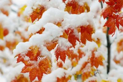 Глобальное потепление несется на Россию: в Центральной России температура подскочит на 10 градусов