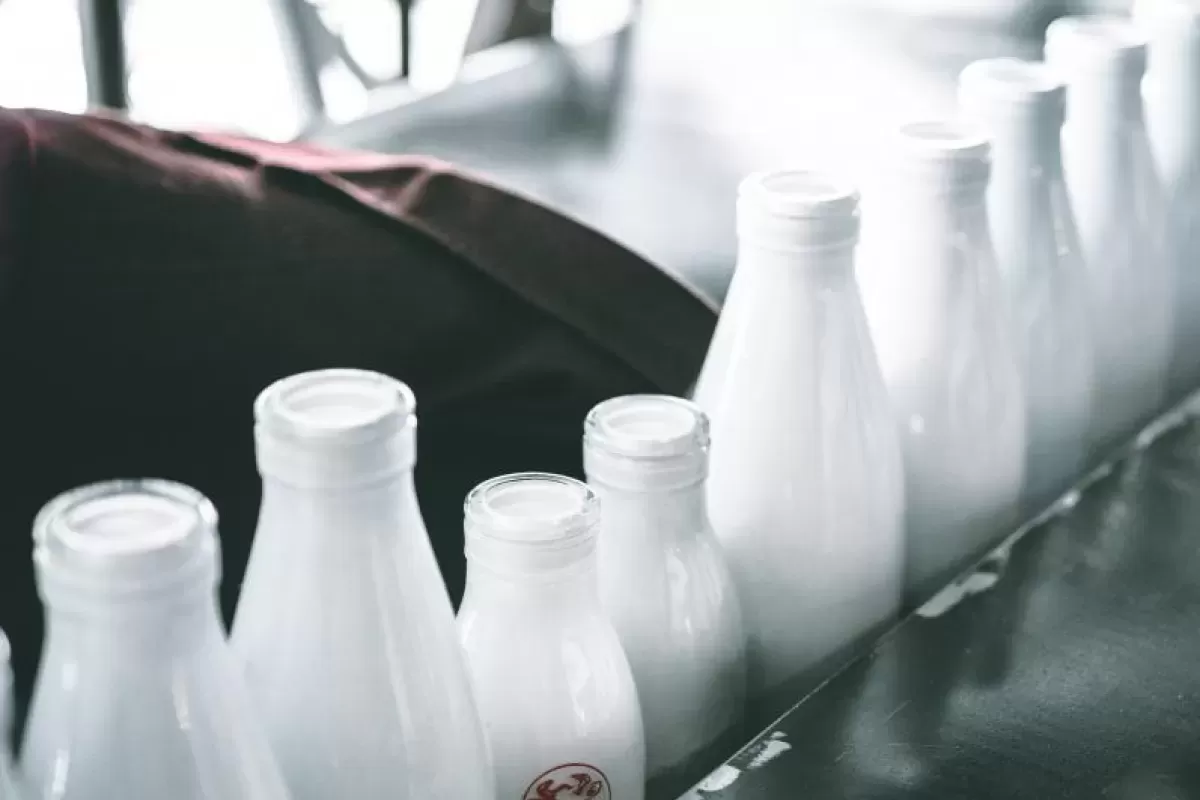 В Самарской области может находиться подпольная молочка от «предприятия-призрака»