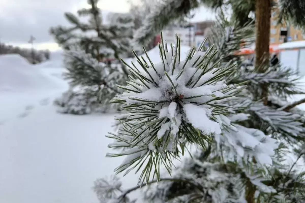 В Самарской области 3 февраля пройдет мокрый снег