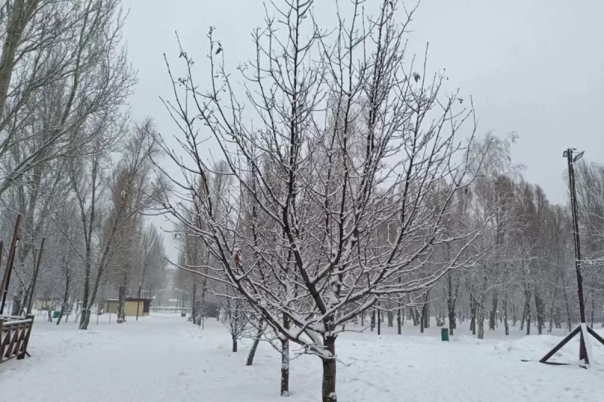 Шквалистый ветер и мокрый снег ожидаются 8 февраля в Самарской области